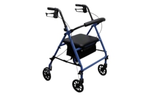 EVOLUXION ANDARILHO BASIC 4 RODAS AN225